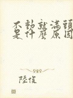 不动就满头大汗是什么原因?