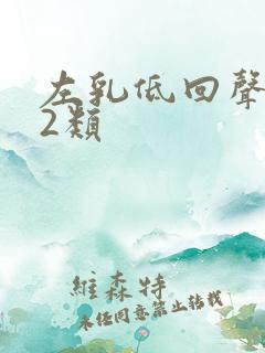 左乳低回声结节2类