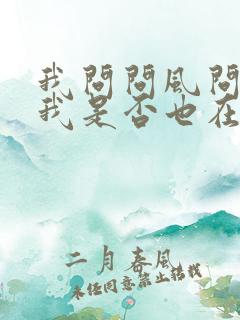 我问问风问问雨我是否也在你心中是什么歌