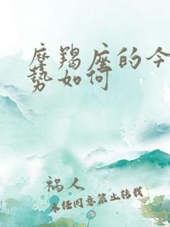 摩羯座的今日运势如何