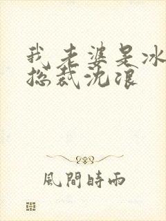 我老婆是冰山女总裁沈浪