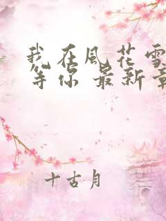 我在风花雪月里等你 最新章节 无弹窗