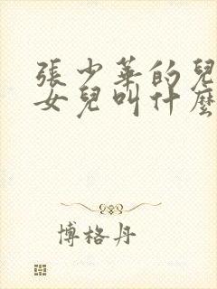 张少华的儿子和女儿叫什么