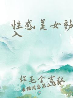 性感美女动态后入