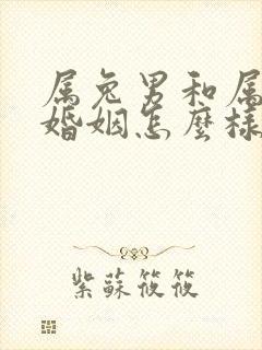 属兔男和属羊女婚姻怎么样