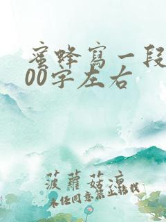 蜜蜂写一段话200字左右