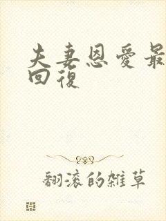 夫妻恩爱最简单回复