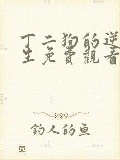 丁二狗的逆袭人生免费观看超清版