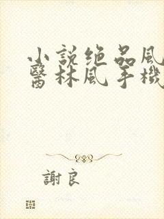 小说绝品风流狂医林风手机版