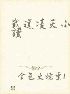 武道凌天小说阅读