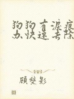 狗狗有泪痕怎么办快速去除