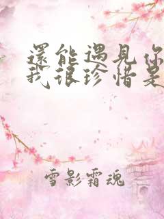 还能遇见你所以我很珍惜是什么歌