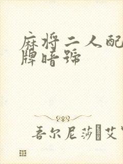 麻将二人配合碰牌暗号