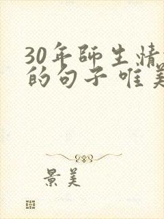 30年师生情谊的句子 唯美