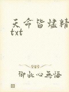 天命皆烬精校版txt