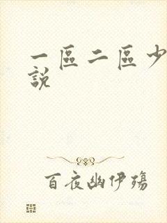 一区二区少妇小说