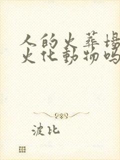 人的火葬场可以火化动物吗