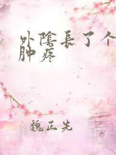 外阴长了个疙瘩肿疼