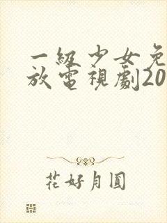 一级少女免费播放电视剧202