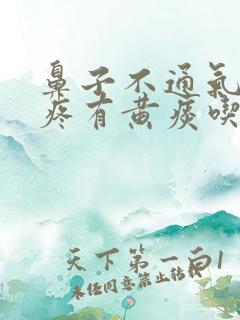 鼻子不通气嗓子疼有黄痰吃什么药