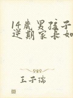 14岁男孩子叛逆期家长如何管教