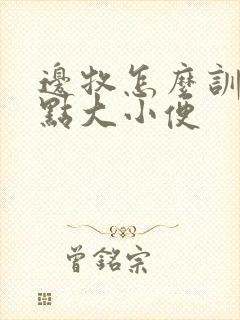 边牧怎么训练定点大小便