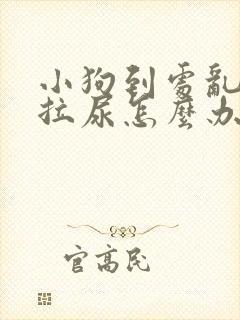 小狗到处乱拉屎拉尿怎么办