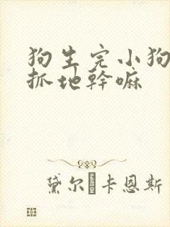 狗生完小狗老是抓地干嘛