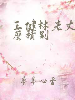 王健林老丈人什么积别