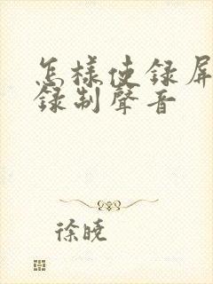 怎样使录屏可以录制声音