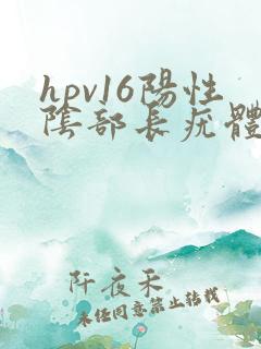 hpv16阳性阴部长疣体