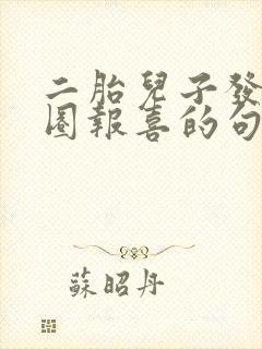 二胎儿子发朋友圈报喜的句子