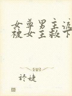 女尊男主流过产被女主救下的小说