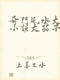 奇门风水大天师小说大茄子