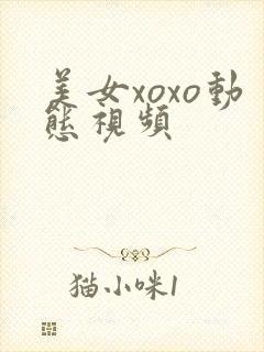美女xoxo动态视频
