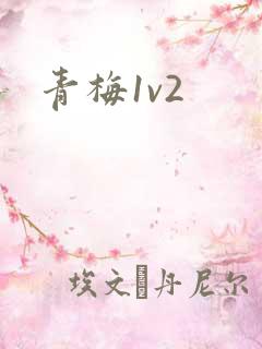 青梅1v2