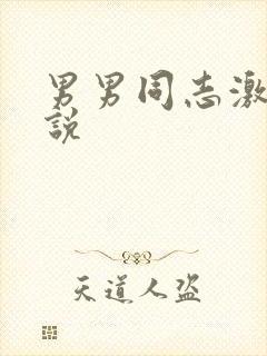 男男同志激情小说