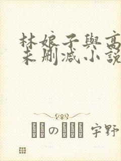 林娘子与高衙内未删减小说