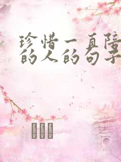 珍惜一直陪伴你的人的句子