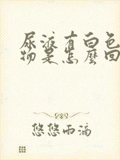 尿液有白色漂浮物是怎么回事