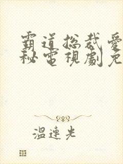 霸道总裁爱上女秘电视剧免费