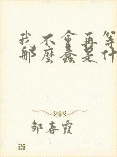 我不会再等我没那么蠢是什么歌