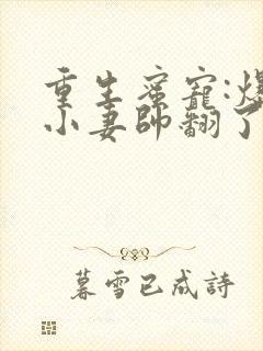 重生蜜宠:爆甜小妻帅翻了