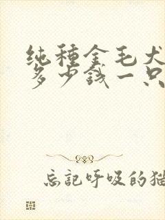 纯种金毛犬幼犬多少钱一只