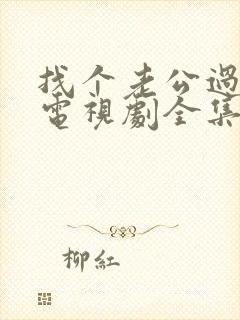 找个老公过日子电视剧全集