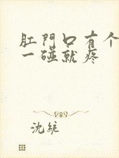 肛门口有个疙瘩一碰就疼