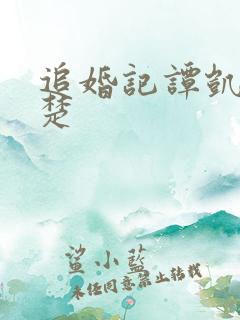 追婚记谭凯周楚楚