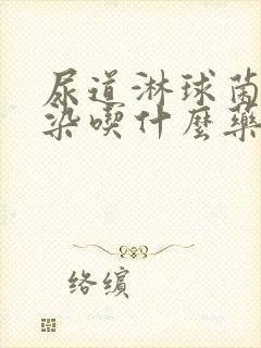 尿道淋球菌的感染吃什么药