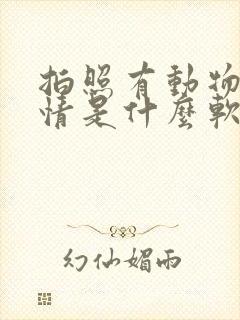 拍照有动物的表情是什么软件