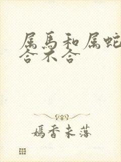 属马和属蛇属相合不合